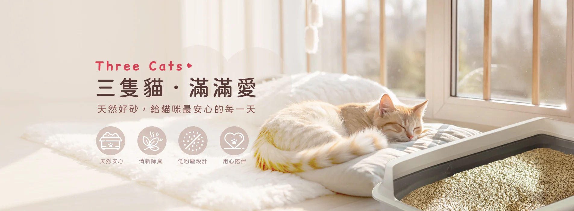 banner.webp banner.webp